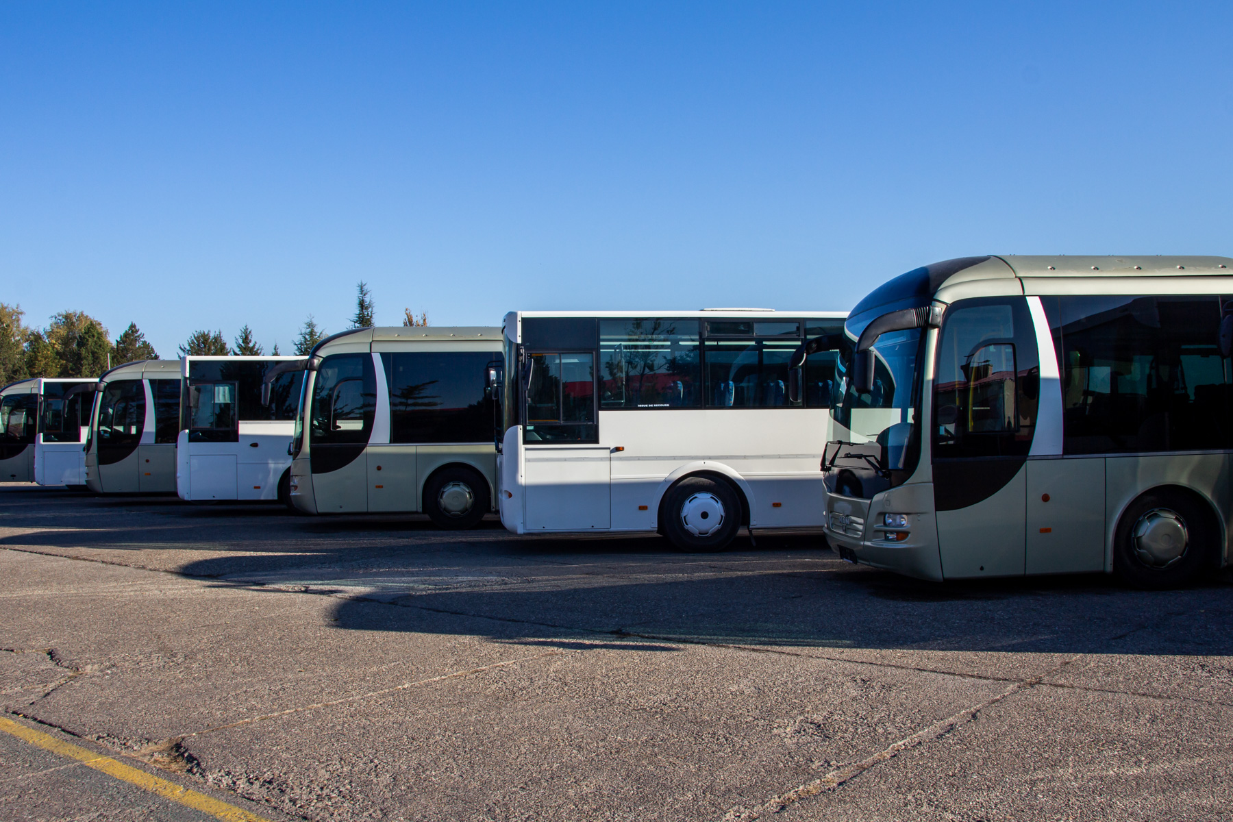 autobus