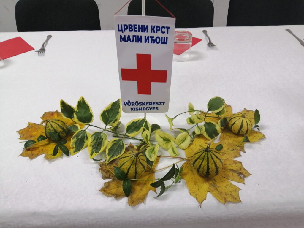 CRVENI KRST MALI IĐOŠ PODELIO DONACIJE
