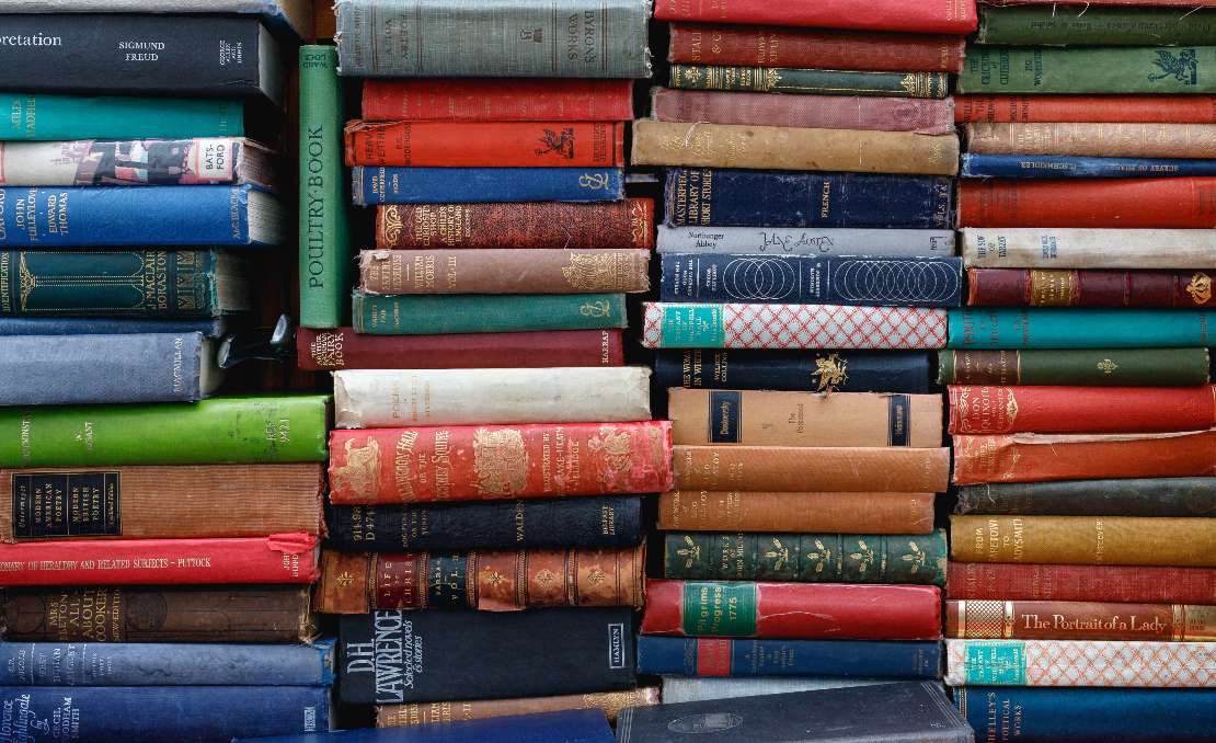 nove knjige i stare članarine u biblioteci mitar pešikan u lovćencu