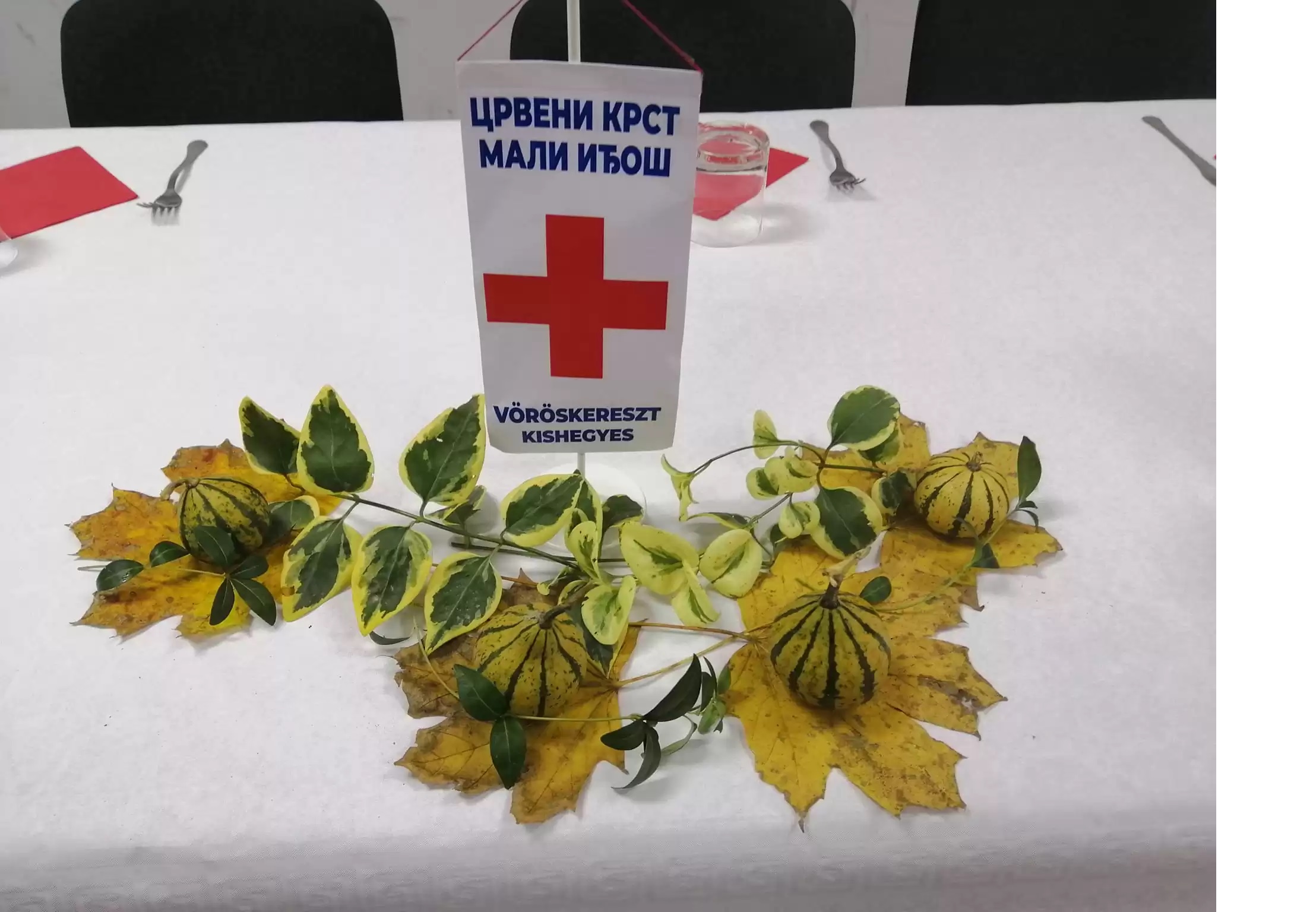 POMEREN TERMIN PREDSTAVLJANJA RADA CRVENOG KRSTA