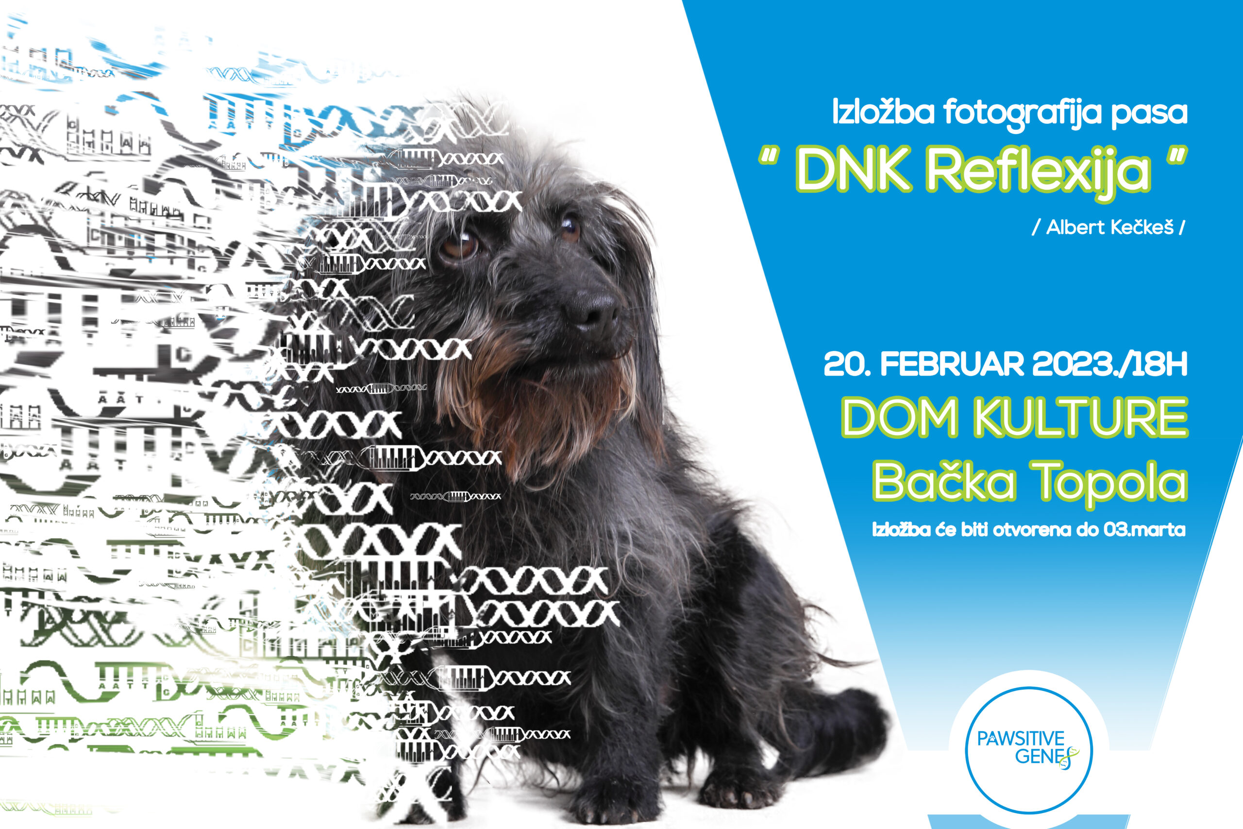 Izložba fotografija pasa