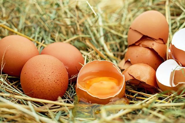 pet razloga zašto više nikada nećete baciti ljuske od jaja