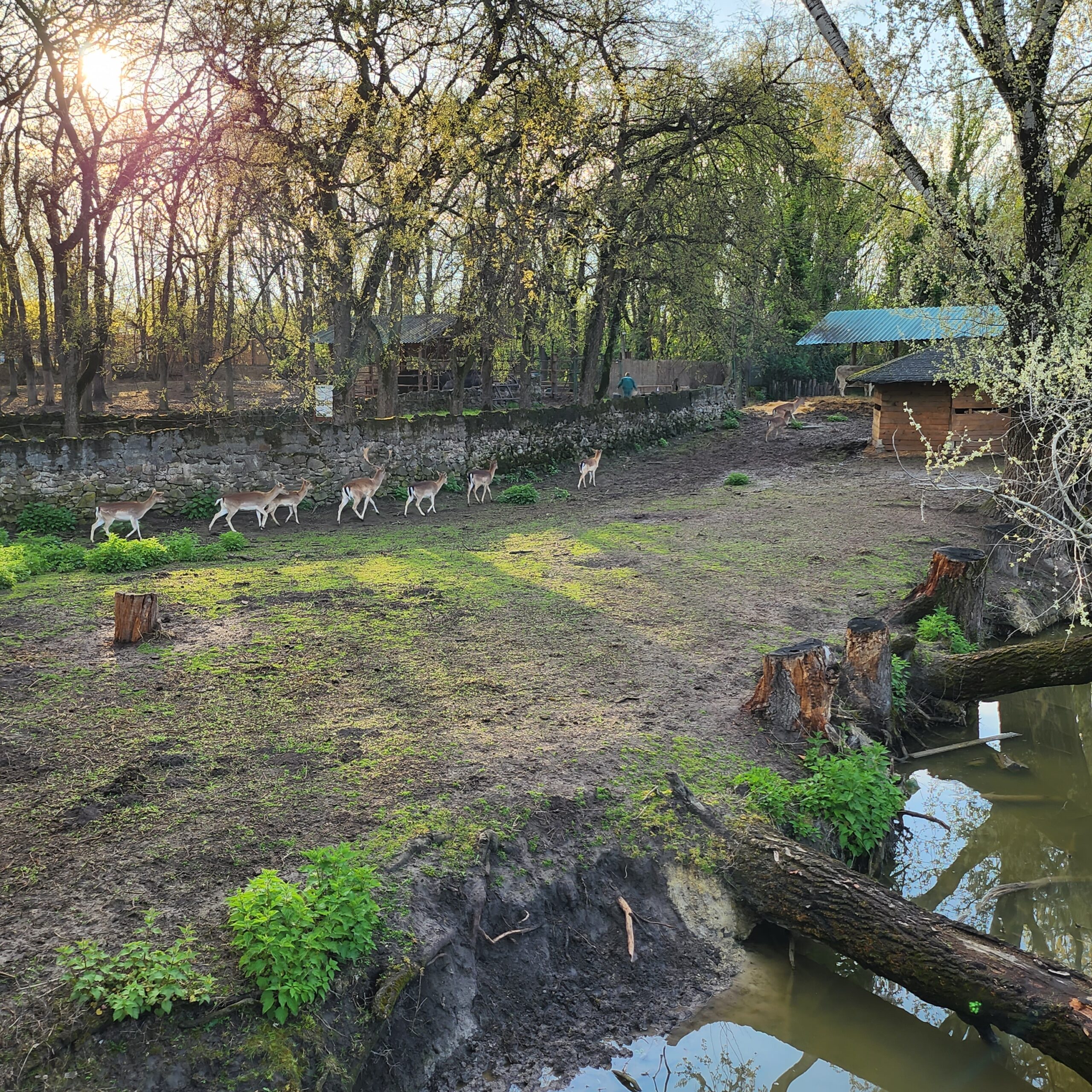 Zoo vrt Palić bogatiji za nove dve vrste životinja