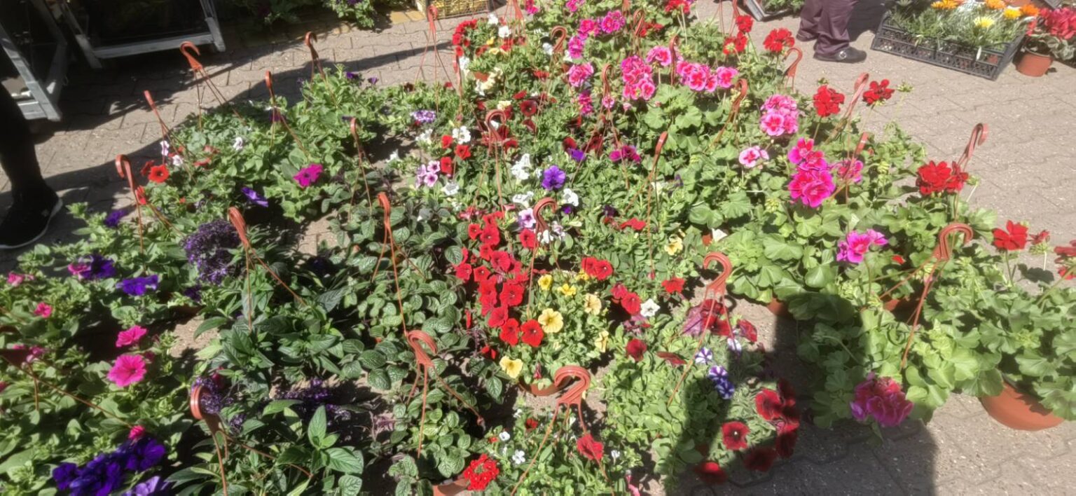 &bdquo;Garden flora&ldquo; zamirisala centrom Subotice