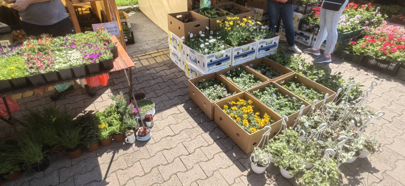 &bdquo;Garden flora&ldquo; zamirisala centrom Subotice