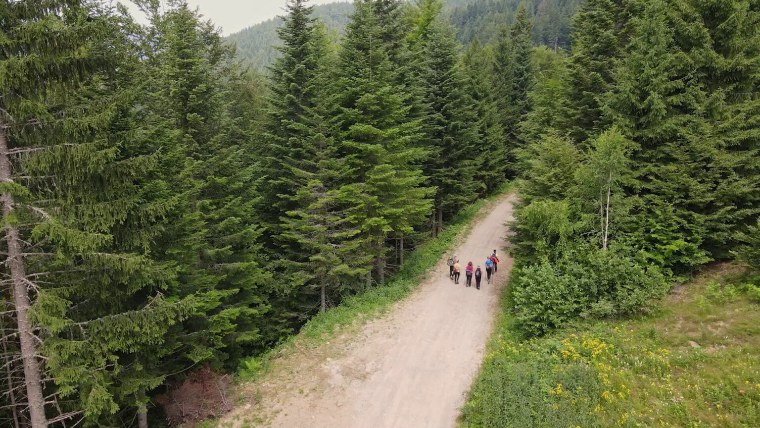 Novi evrpski dokumentarni film i Eco Dox na Filmskom festivalu
