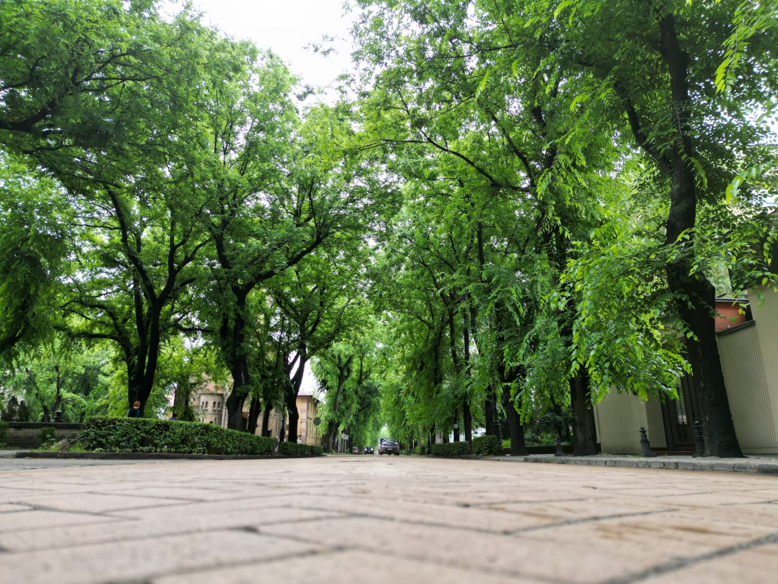 Najlep&scaron;a subotička ulica &ndash; menjala je nazive ali ne i lepotu