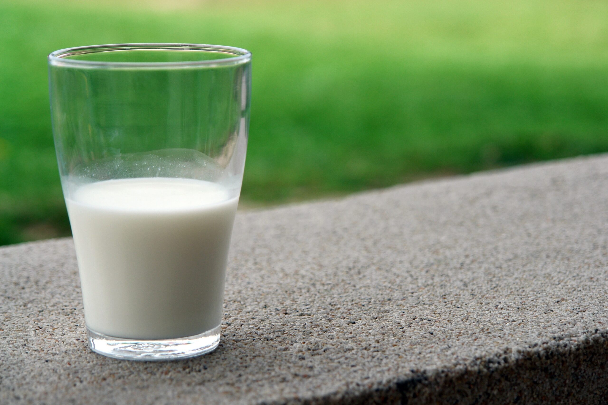 Biljno mleko siromašnije je od kravljeg u količini 4 ključna minerala