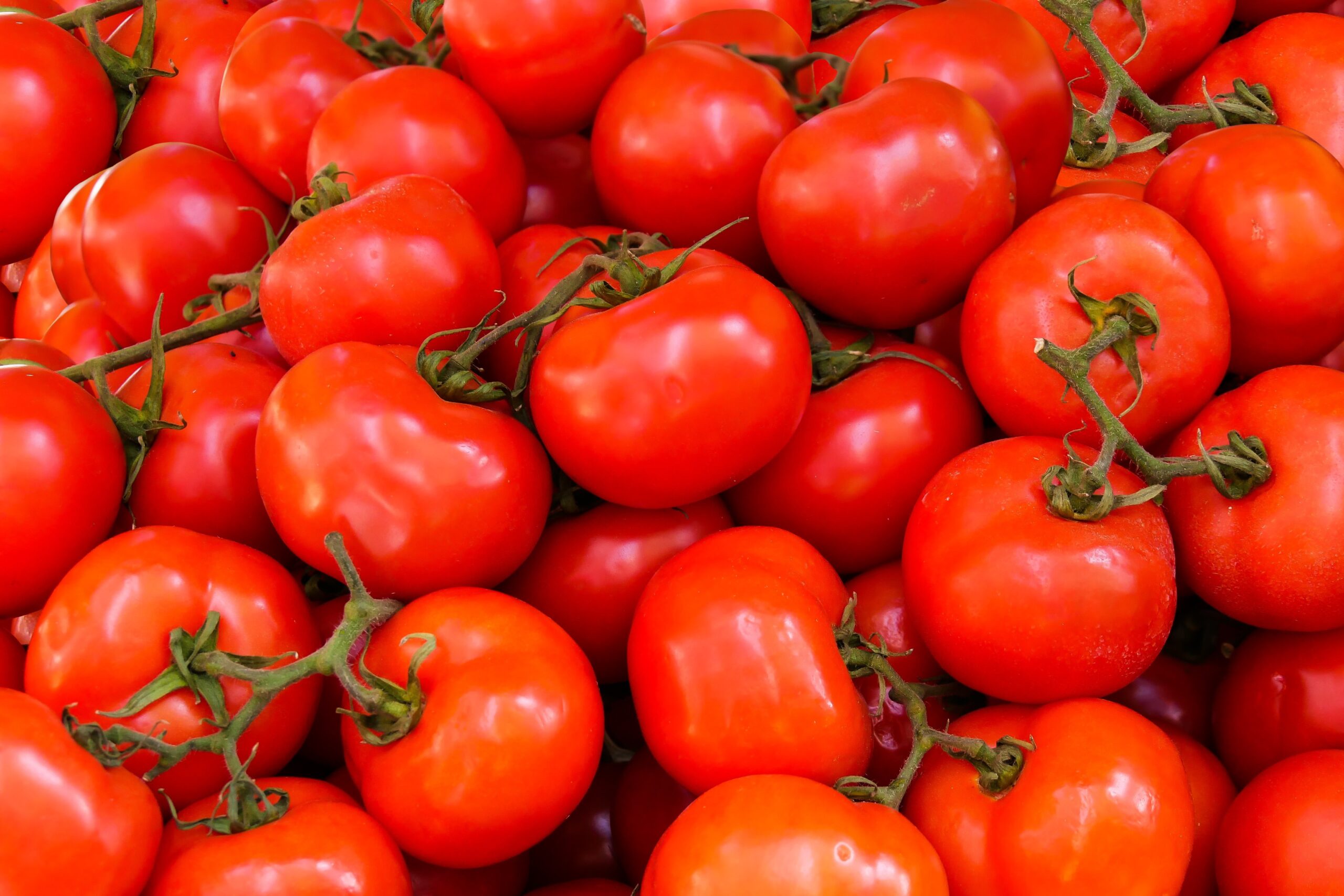 Kako vam paradajz može pomoći da imate bolju kožu