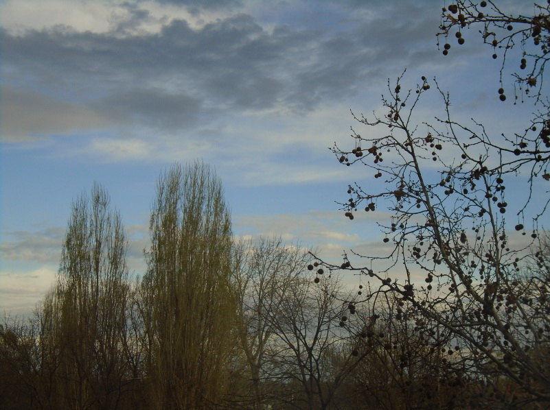 Danas u Srbiji oblačno, u toku noći očekuje se ledena kiša