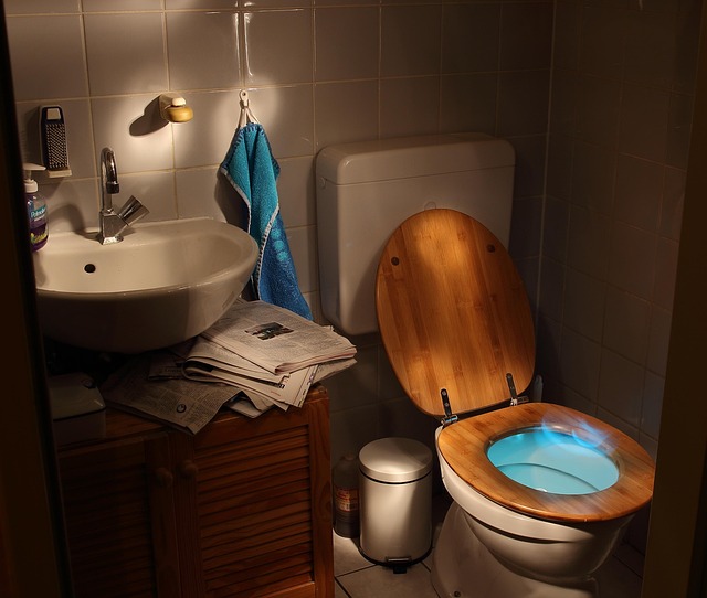 WC