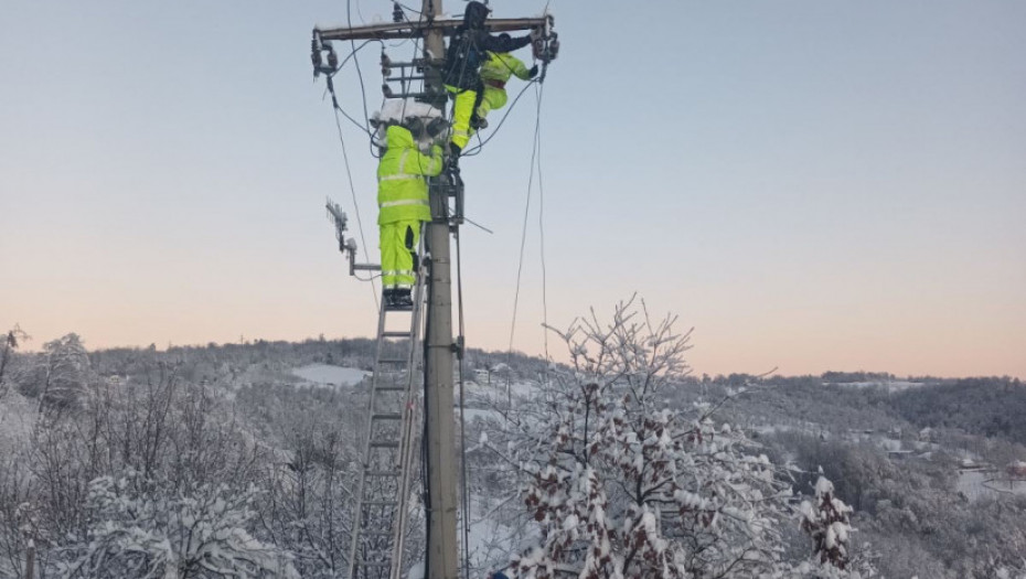 Vlada Srbije usvojila zaključke o merama za otklanjanje posledica nedavnih snežnih nepogoda