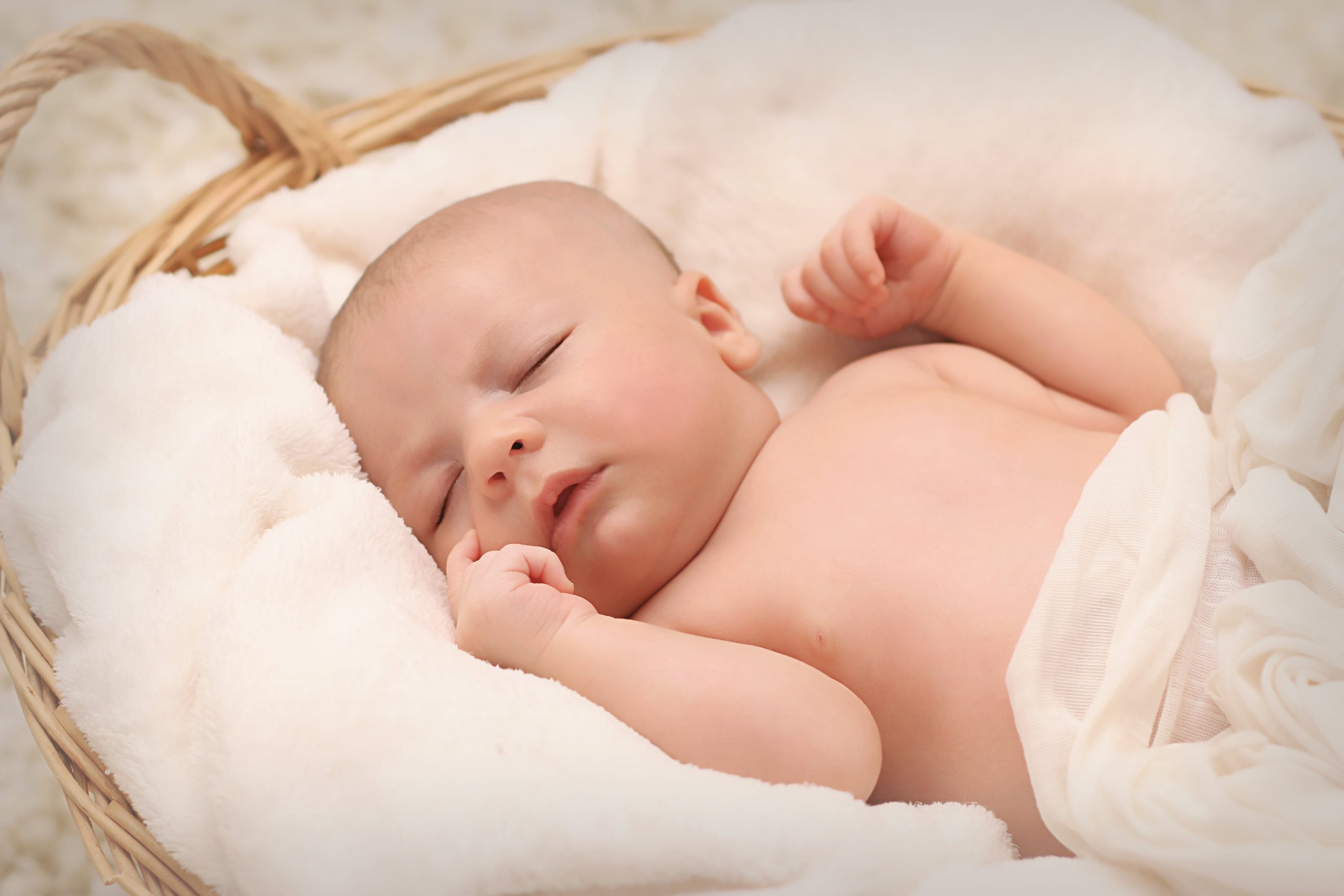 Tokom protekle sedmice (19.1.- 25.1.) rođene su 24 bebe