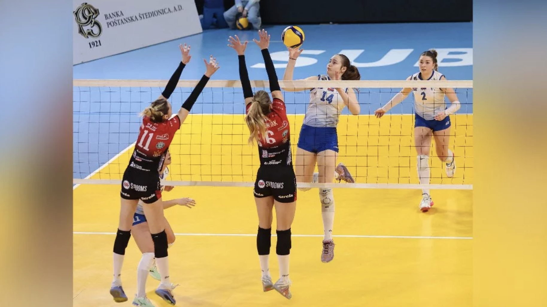 Odbojksaice Subotice