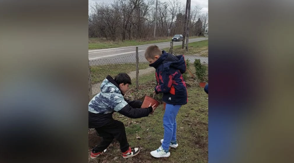 Učenici zasadili tuje i oplemenili školsko dvorište u Ljutovu