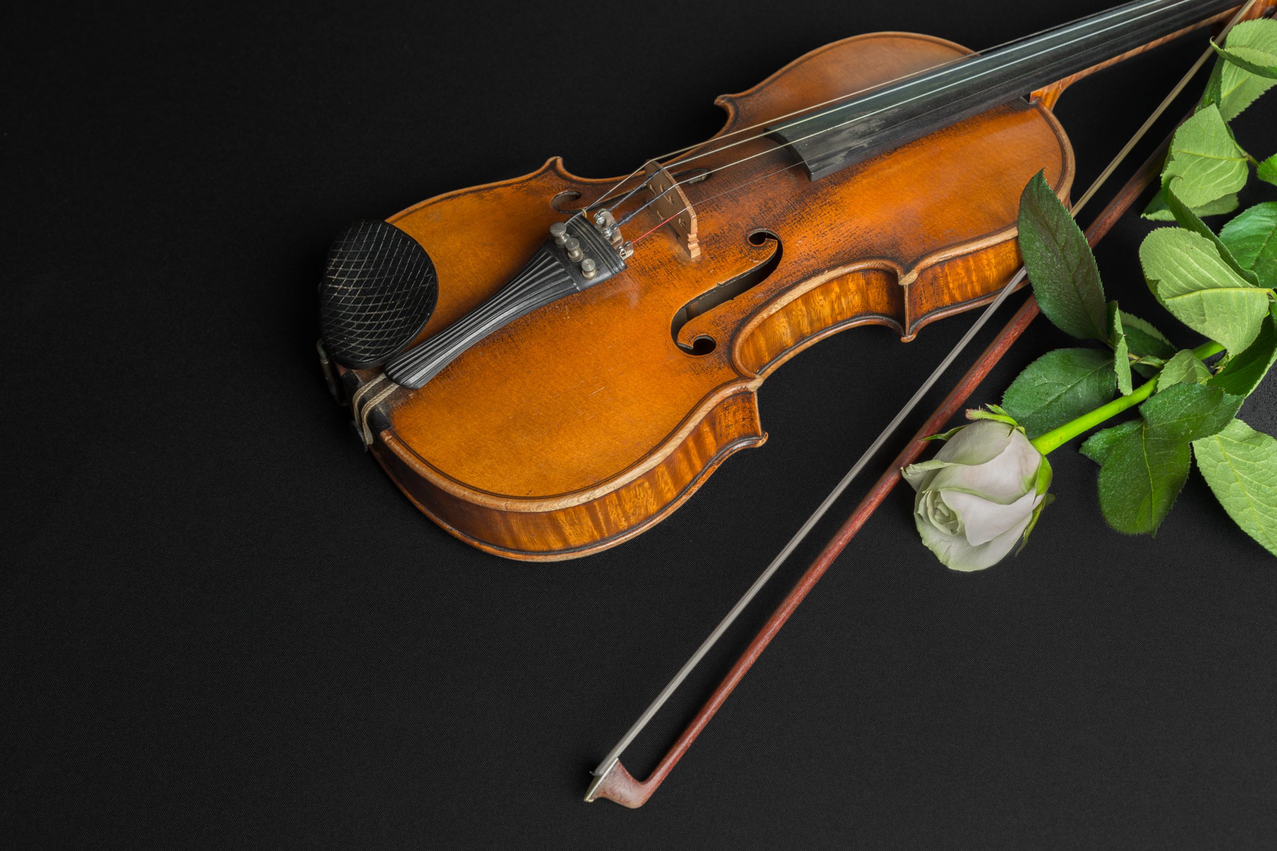 Zvuci violine 18. februara u Muzičkoj školi