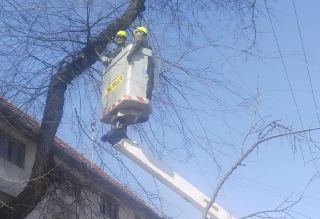 Ekipe „Zelenila“ na terenu u ulici Hajduk Veljka