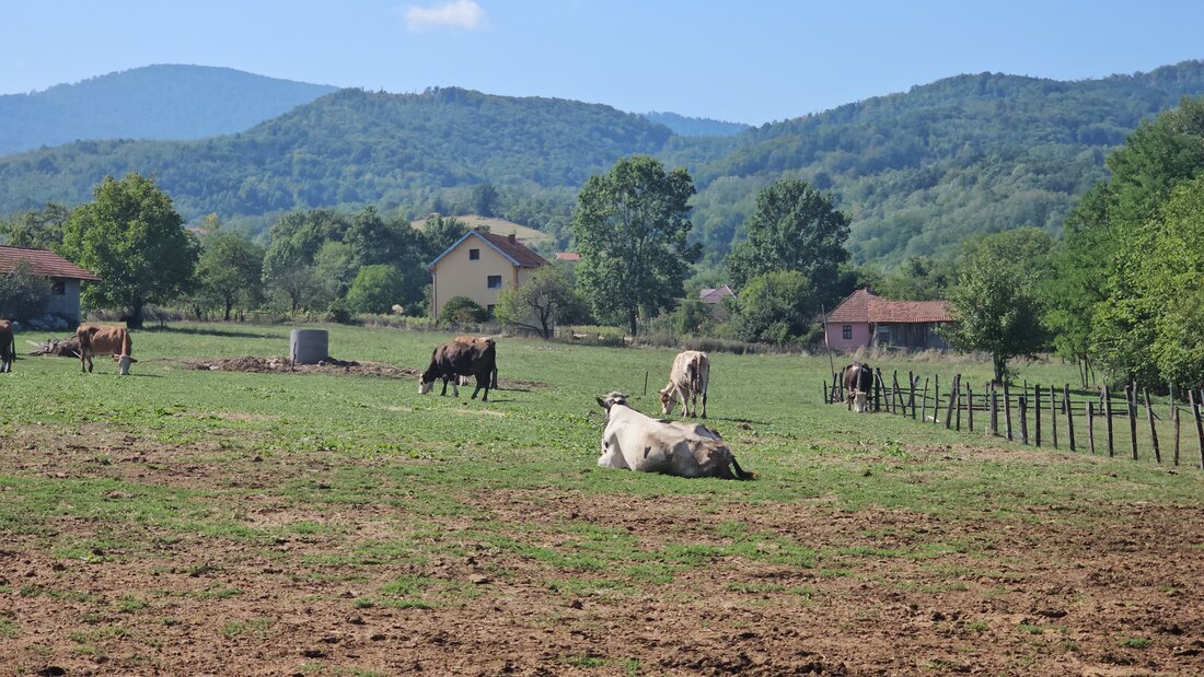 Gazdinstvo