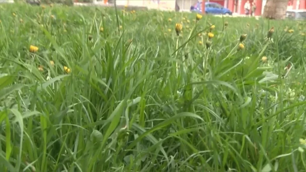 Tretman protiv krpelja od 27. aprila do 3. maja