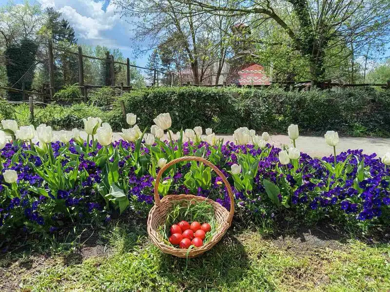 Palićki zoološki vrt slavi Uskrs:Program za porodice od 3. do 13. aprila