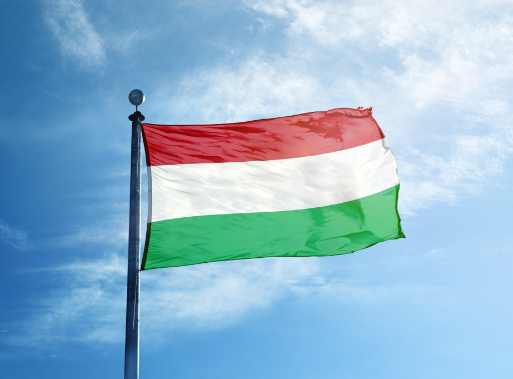 Tužilaštvo u Subotici traži pokretanje postupka protiv maloletnika zbog paljenja mađarske zastave