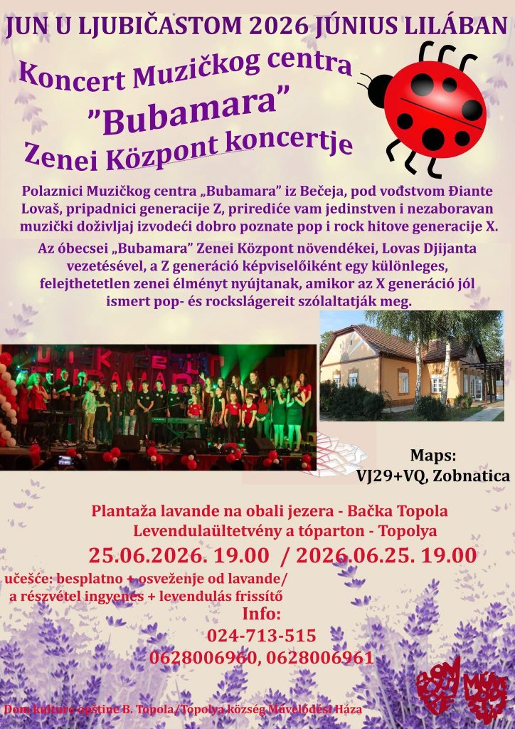 Ljubičasta rapsodija na obali jezera: koncerti, joga i rafionica