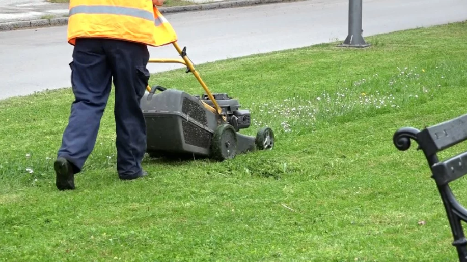 Održavanje javnih zelenih površina teče po planu