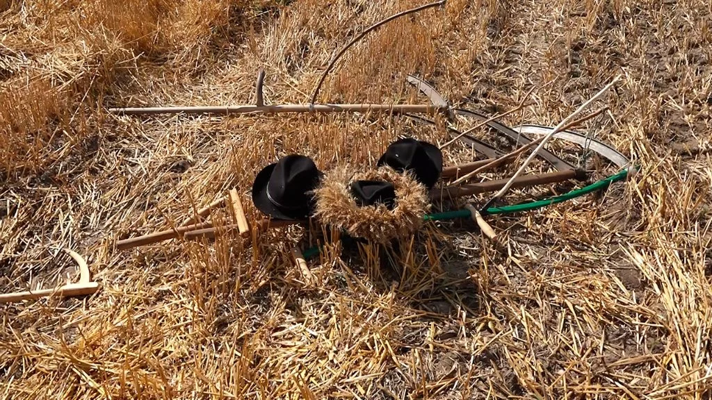 Tradicija koja živi – održan ris na salašu Babičković
