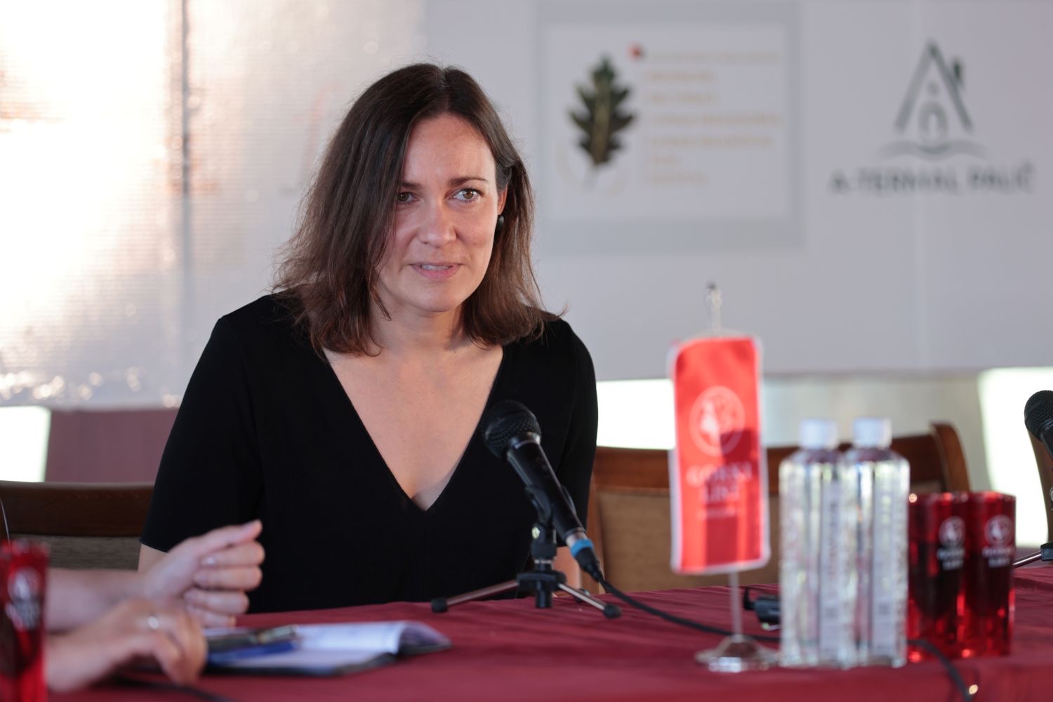 Glumci i rediteljke o improvizaciji, snu i ženskim junakinjama: četvrti dan Festivala u znaku ličnih ispovesti Glumci i rediteljke o improvizaciji, snu i ženskim junakinjama: četvrti dan Festivala u znaku ličnih ispovesti