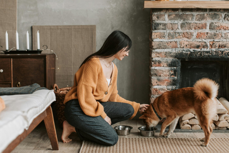 Ne bacajte batat iz tanjira: Veterinari otkrivaju kako ova namirnica pomaže vašem psu