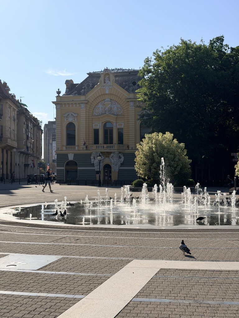 Otkazana promocija knjige Jelene Tinske u Subotici