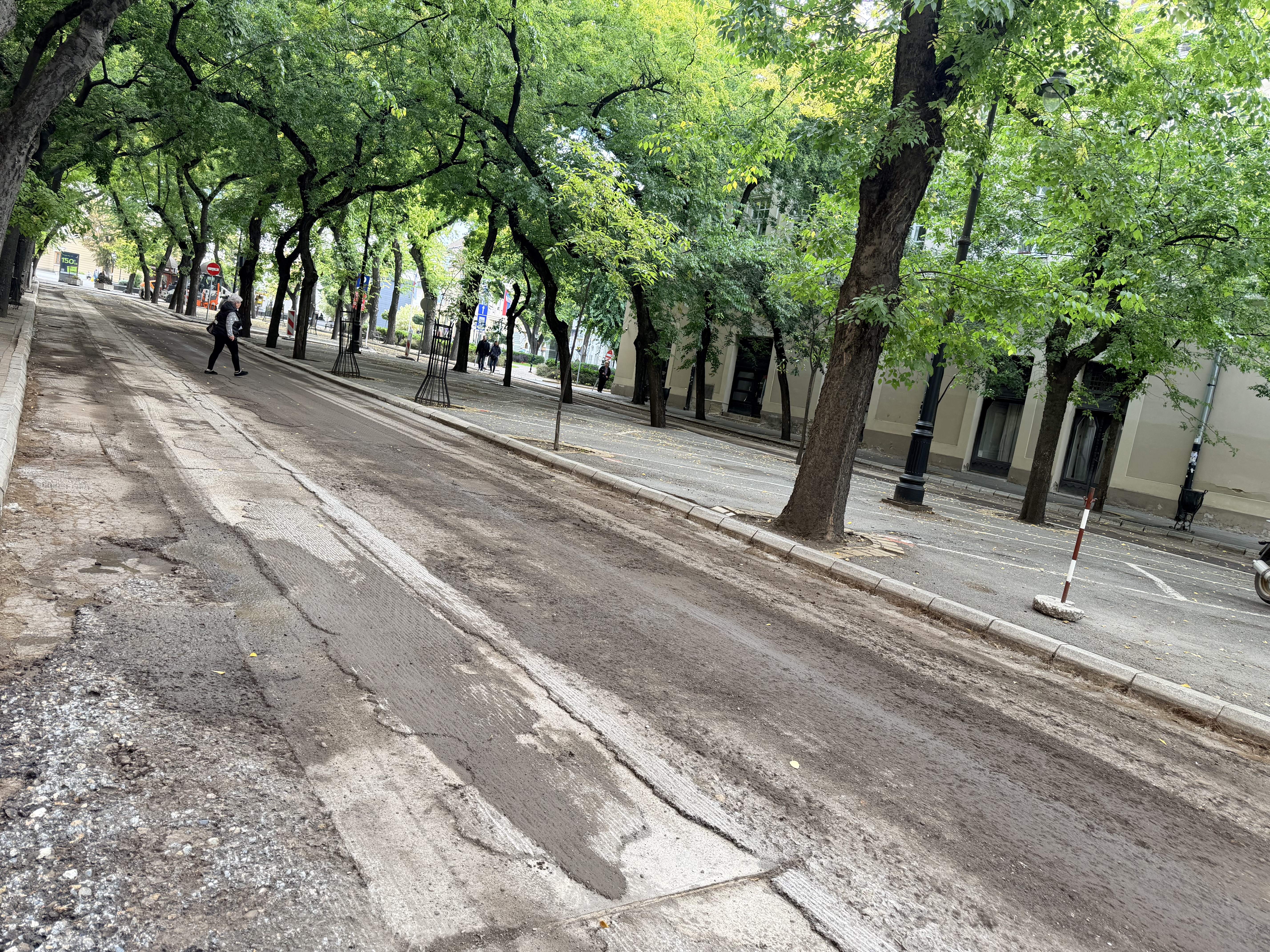 U petak obustava saobraćaja u tri ulice i na putu ka Bikovu