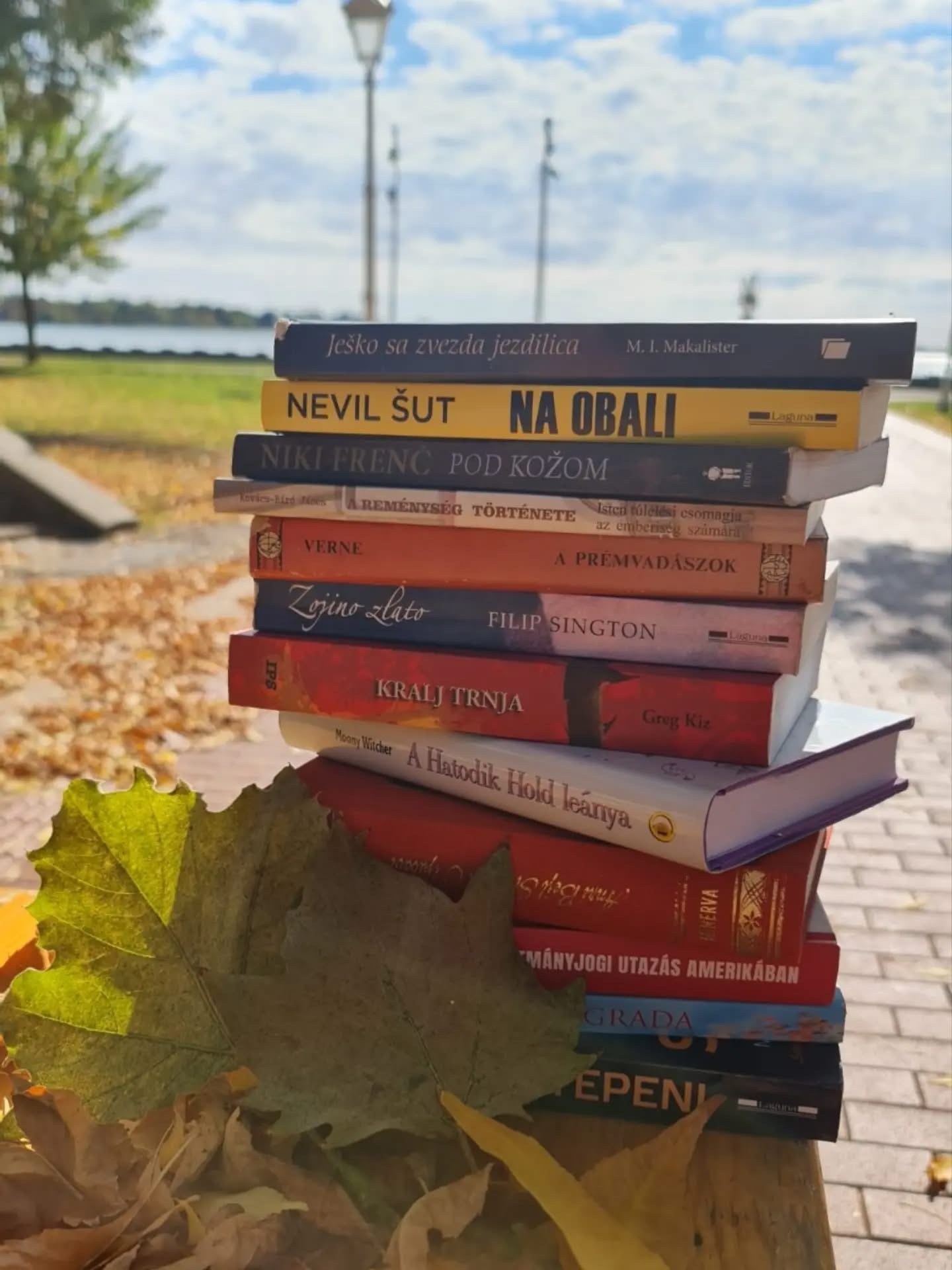 Biblioteka na plaži na Paliću prikupila 218 knjiga, na proleće ponovo otvara vrata čitaocima