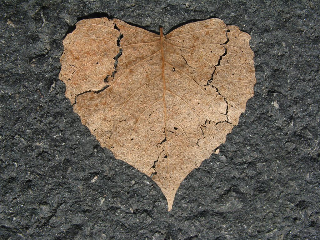 Kako prestati voleti nekoga koga ne možete imati