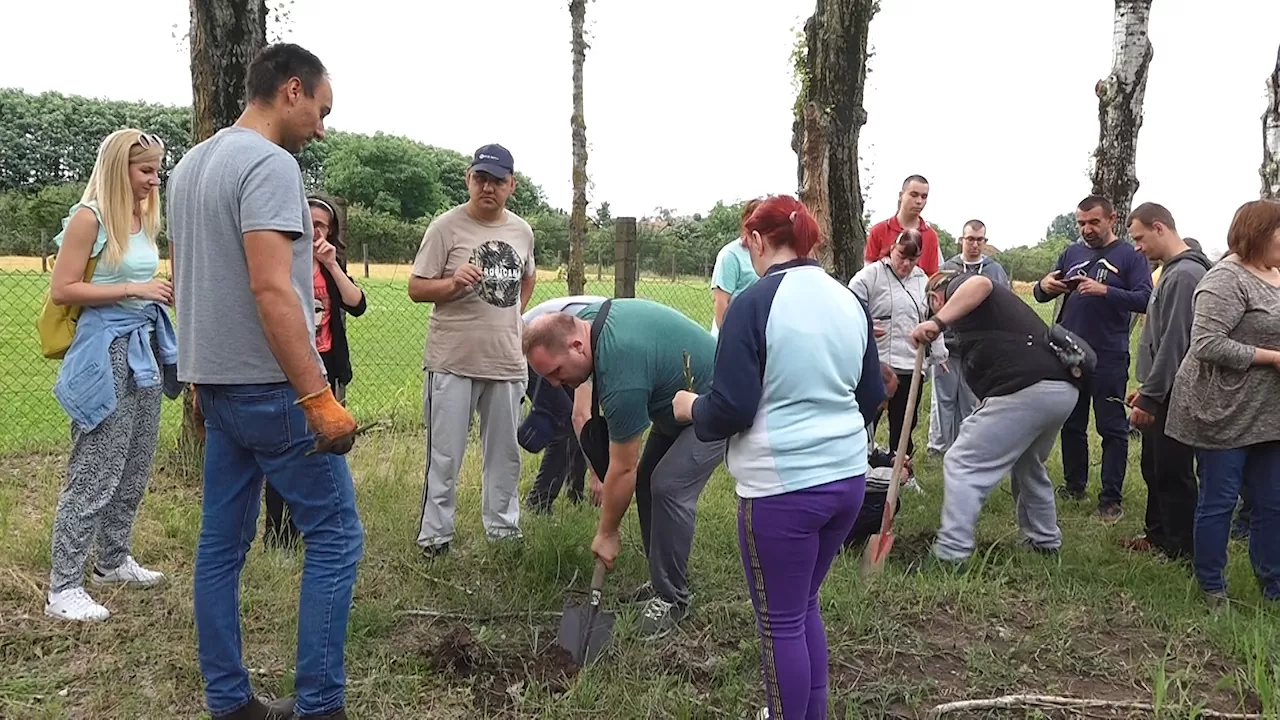Sadnjom drveća do inkluzije osoba sa psihofizičkim smetnjama
