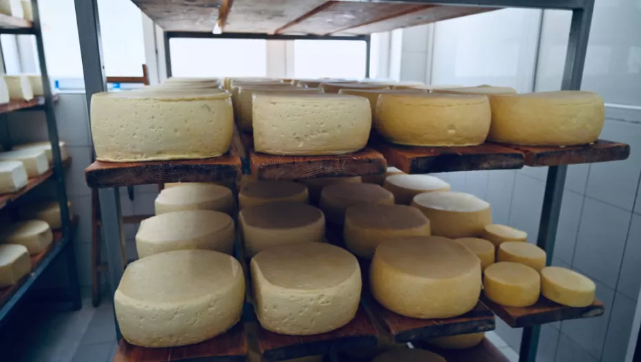 Lopovi ukrali više od tone sira iz prodavnice na jugu Holandije