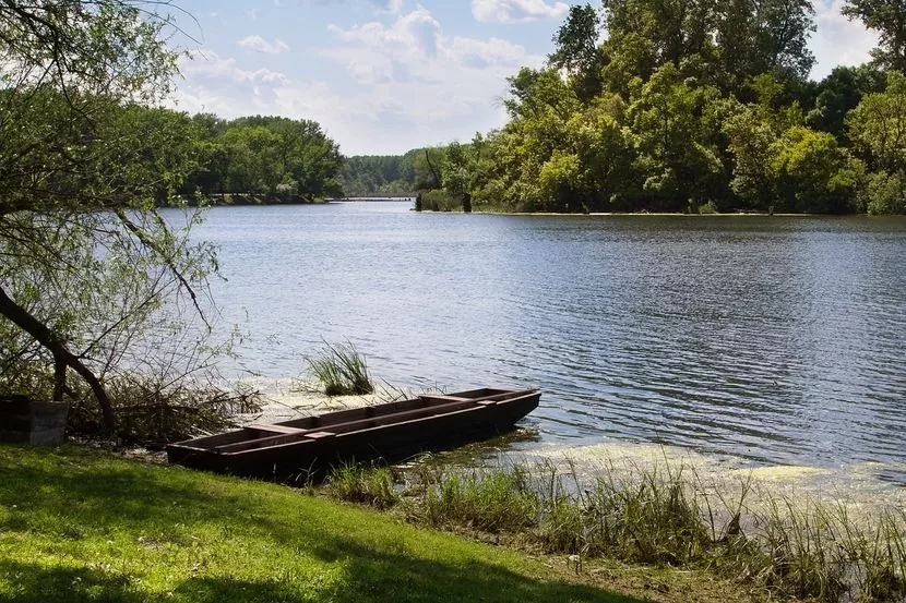 Priobalje reke Tise prirodno stanište više od 200 vrsta ptica