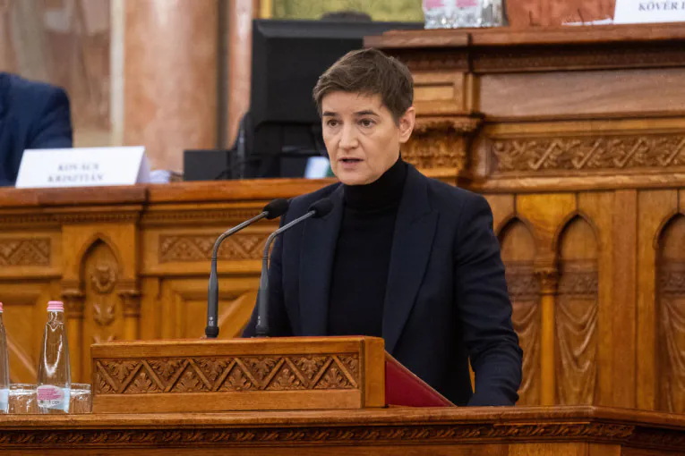 Brnabić objasnila Stefanoviću: SNS podršku traži od građana Srbije, a blokaderi iz bivše vlasti od stranaca