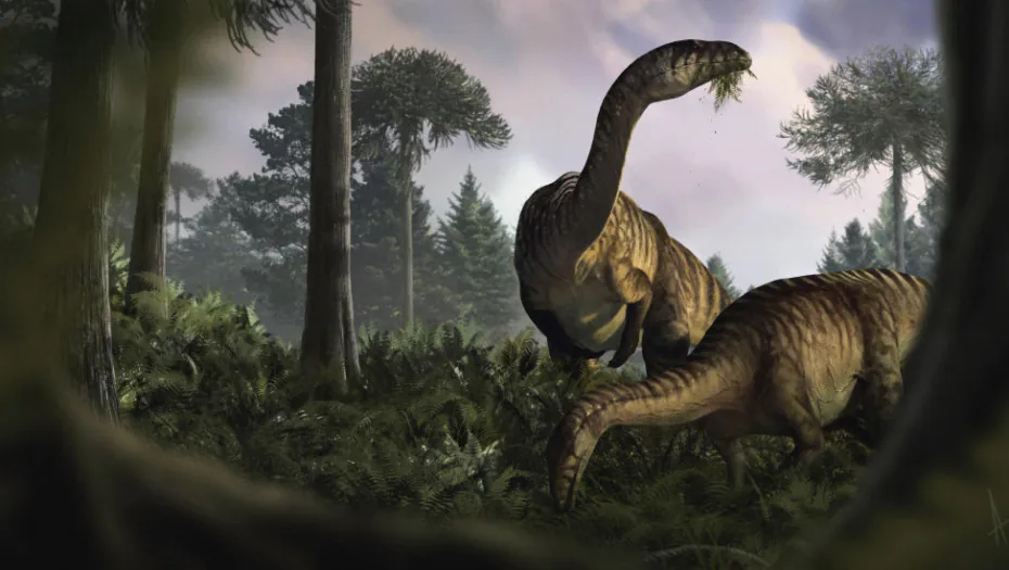 Ko je koga jeo u doba jure: Novo istraživanje pokazalo da su bebe dugovratih dinosaurusa bile glavni plen predatora