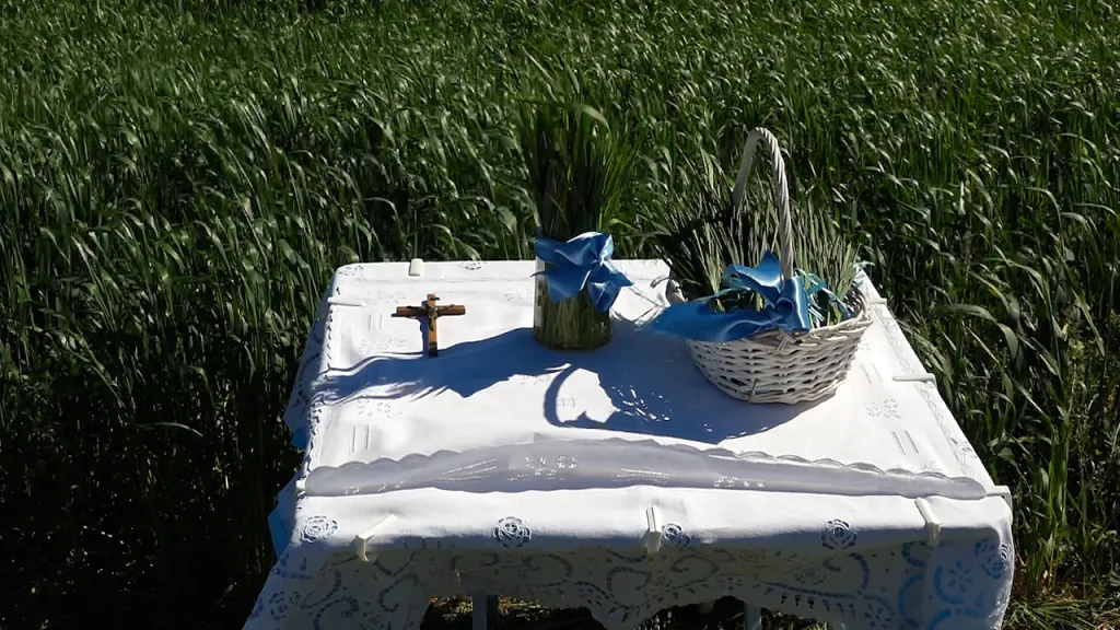 Blagoslovom žita otpočelo obeležavanje Dana Dužijance