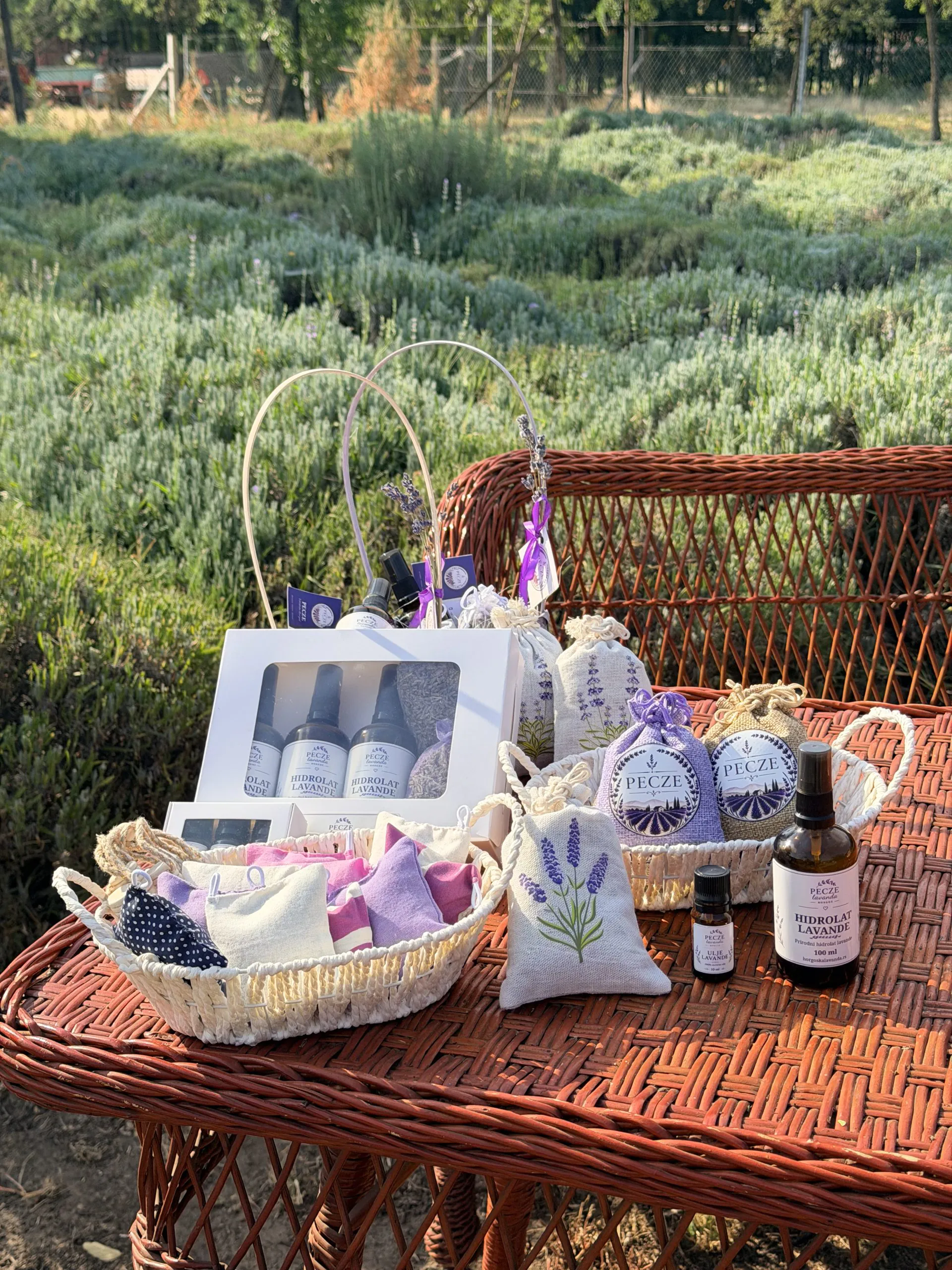 Lavanda više nije samo ukras: Od nekoliko sadnica do hiljadu biljaka