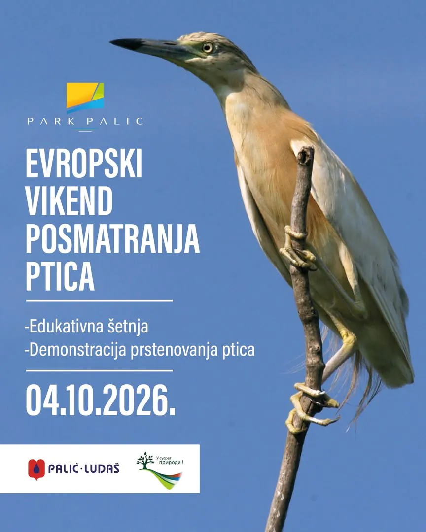 U susret Evropskom vikendu posmatranja ptica: Šetnja uz Ludaško jezero i demonstracija prstenovanja