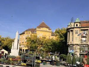 Miholjsko leto idealno je vreme za cveće: „Cvetna jesen" na gradskom trgu do subote