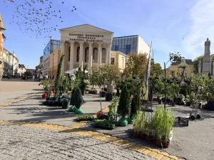 Miholjsko leto idealno je vreme za cveće: „Cvetna jesen" na gradskom trgu do subote
